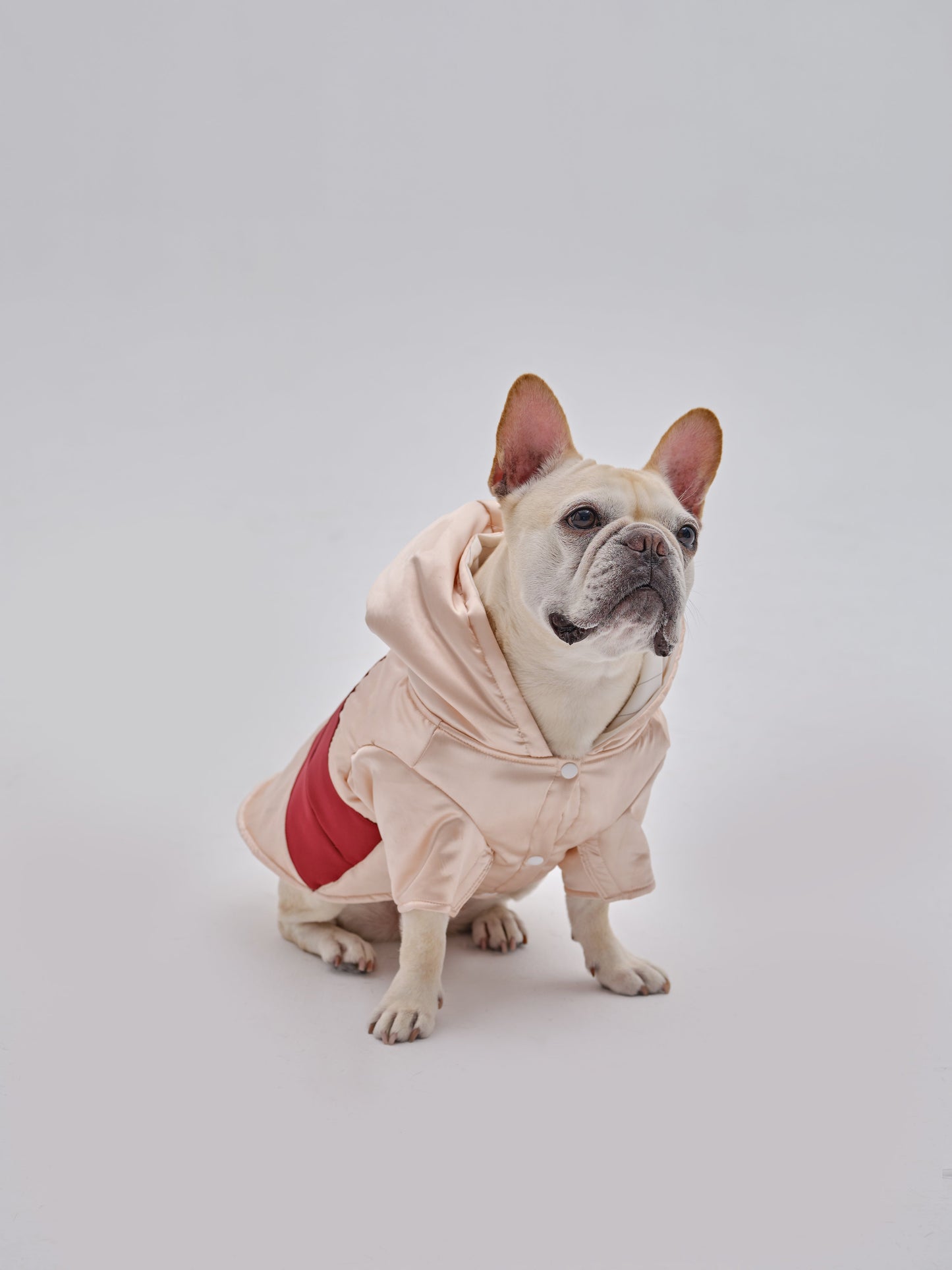 PET POCKET HOODIE
