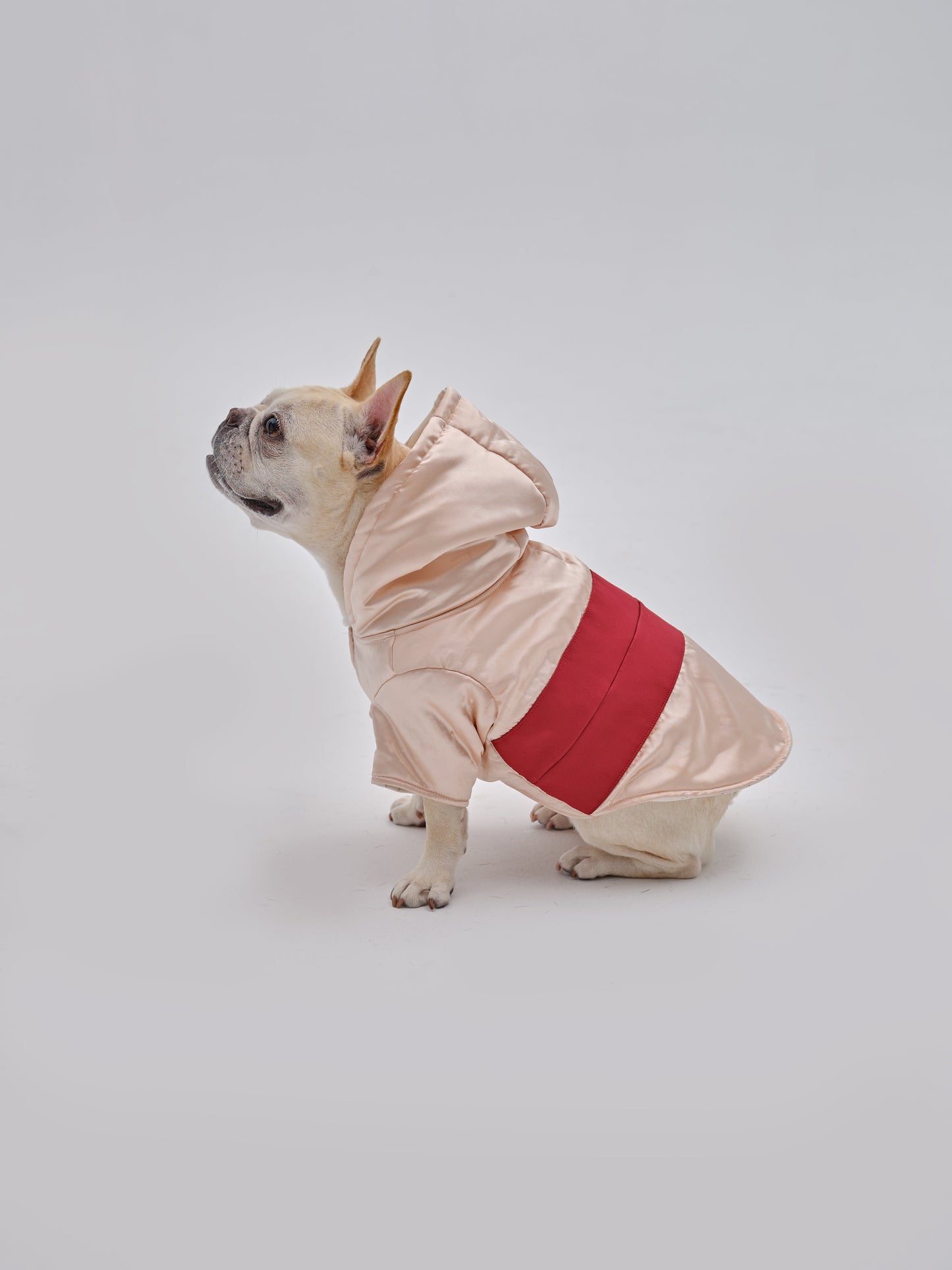 PET POCKET HOODIE