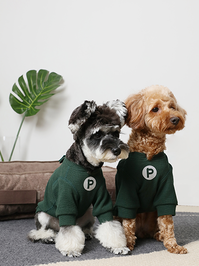 Embroidery Waffle T-Shirt - Green