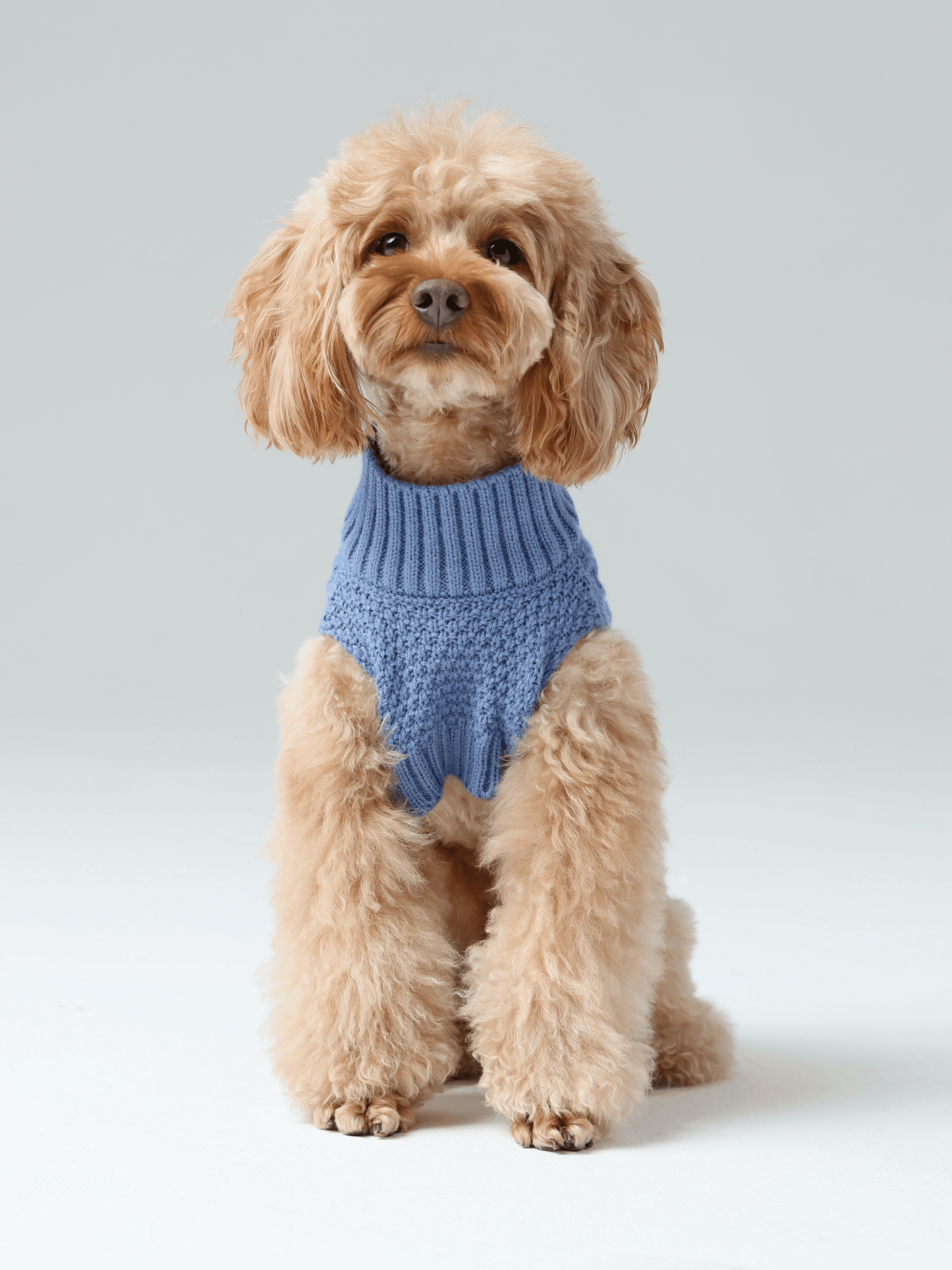 Pet Sweater Vest - Ice Blue