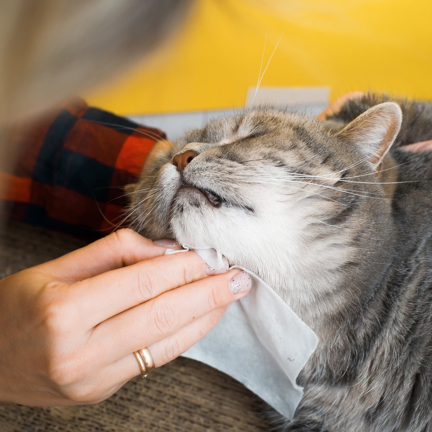 Pursonic Lavender Scented Pet Wipes – 12 Packs of 100 (1200 Total) Extra Large Wipes for Gentle Cleaning & Deodorizing