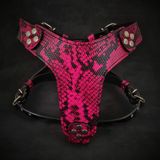 The ''Rock Python'' harness Small to Medium Size