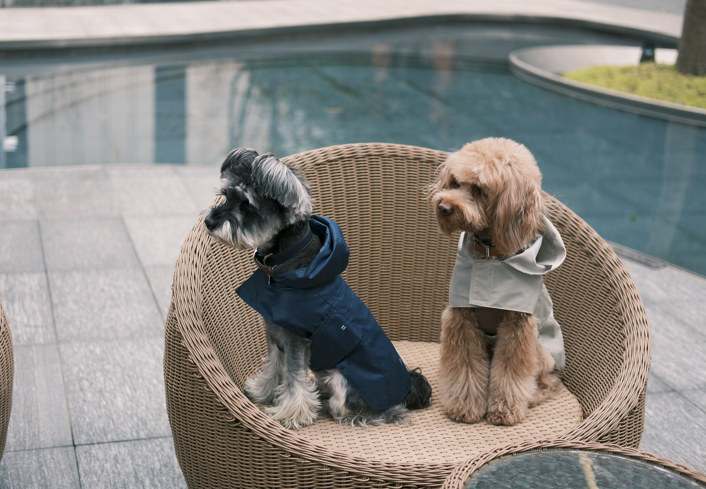 Capsule Raincoat - Blue