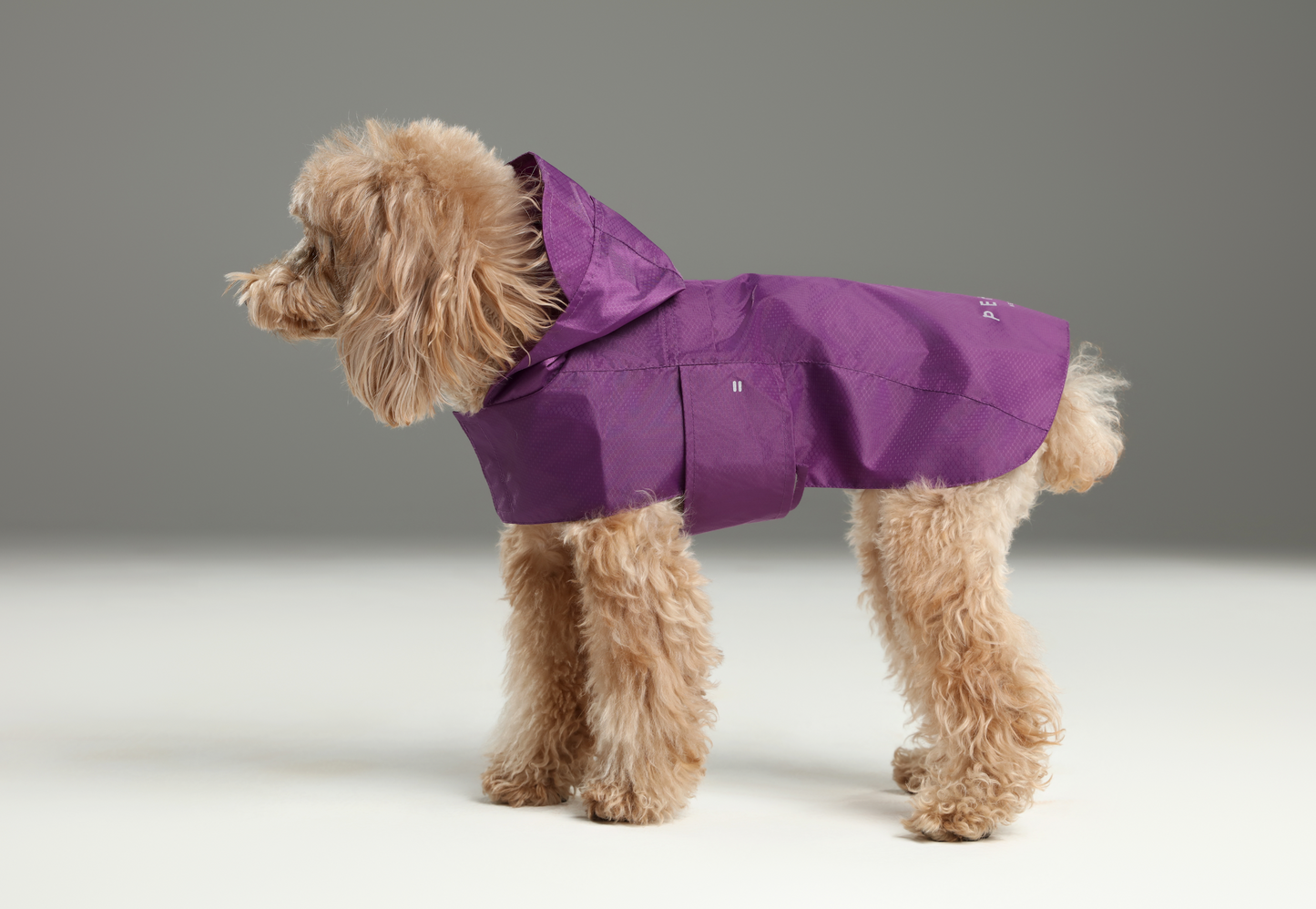 Capsule Raincoat - Purple