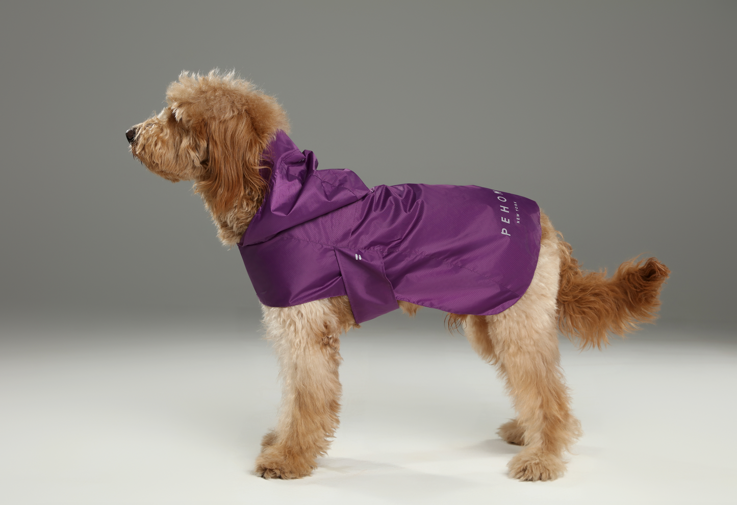 Capsule Raincoat - Purple
