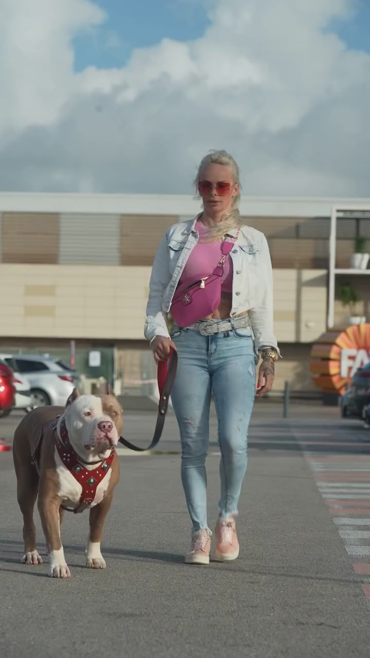 The "Eros" collar 2.5 inch wide RED