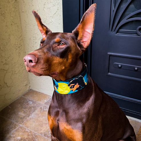 The BCW Limited Collar