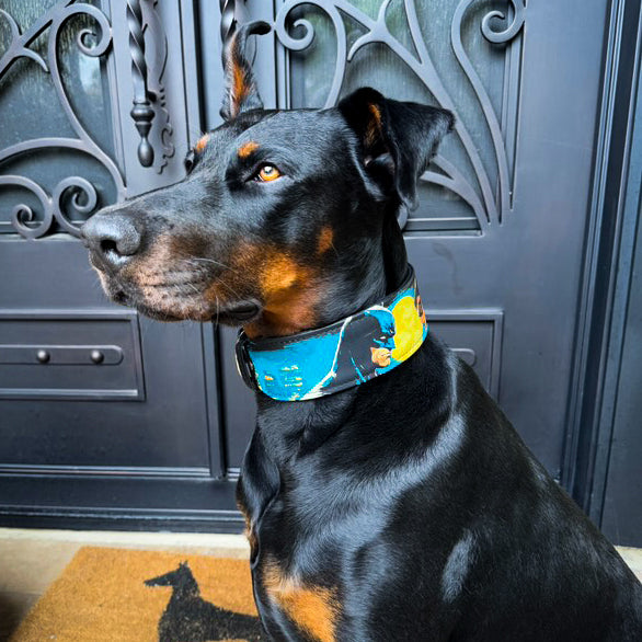 The BCW Limited Collar