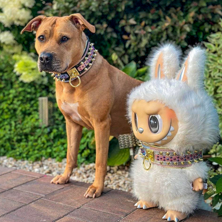 The Candy Dog Collar Black